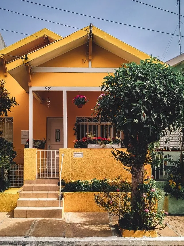 Yellow house with porch and steps with tree